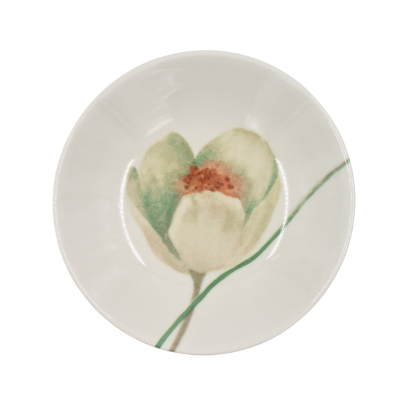 Vajilla 9 Pzas Brotes@