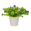 Planta artificial con maceta 14 cm Home Sweet Home  (72/120) @