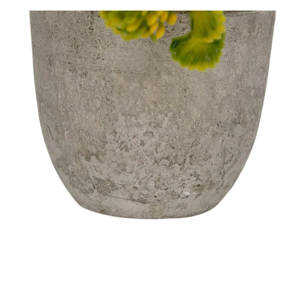 Planta artificial con maceta 12 cm Home Sweet Home (20) @