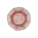 Plato hondo Rosas Uva@