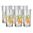 Juego de 6 vasos Carreta Alcatraz(One Shot)