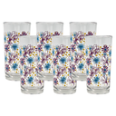 Juego de 6 vasos Moraflor(One Shot)